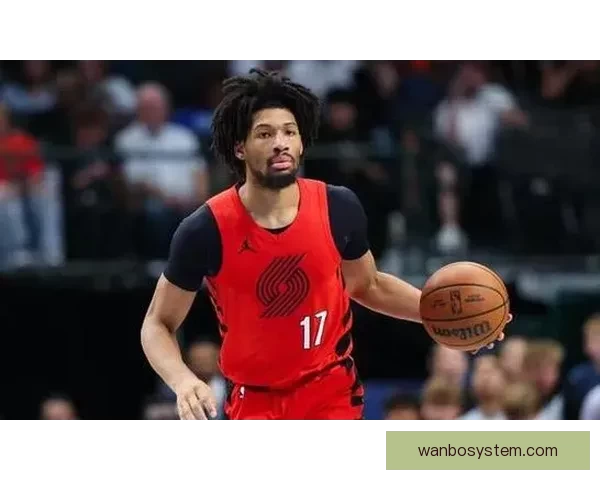 从杨瀚森学到的中文词汇与阿夫迪亚乐福之间的精彩对话分析 从杨瀚森学到的中文词汇与阿夫迪亚乐福之间的精彩对话分析