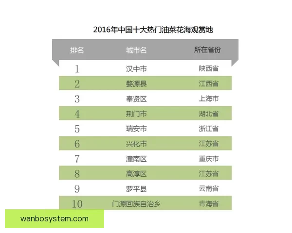 世界杯竞猜盘口预测技巧与数据分析全面指南助你提高胜率稳定盈利